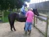 Ben on a big horse at Dairyland